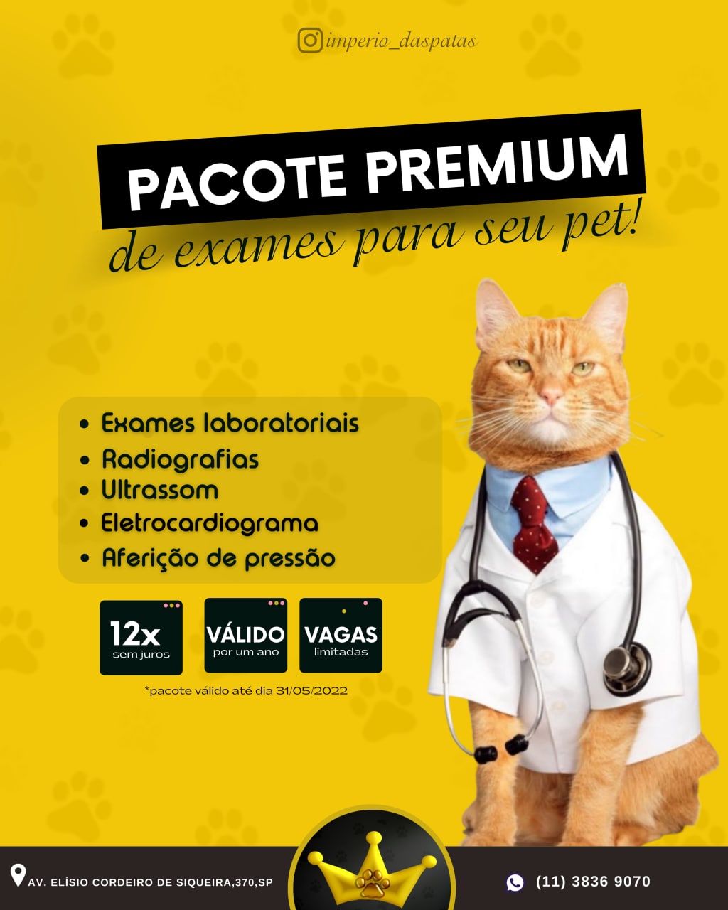 serviço premium